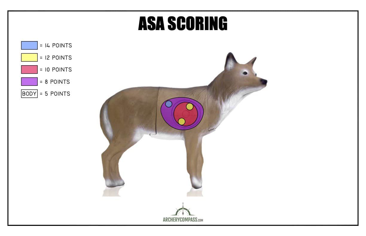 Scoring 3D Archery - ASA