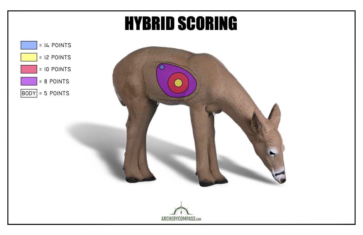 Scoring 3D Archery - Hybrid