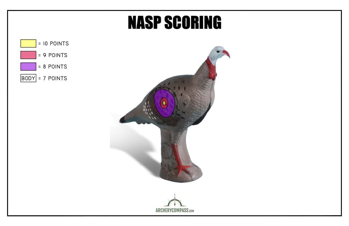 Scoring 3D Archery - NASP
